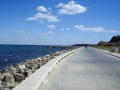 119.800x600.jpg