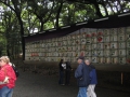 IMG_2430.1024x768.JPG