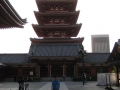 IMG_2505.768x1024.jpg