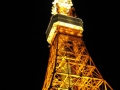IMG_2515.768x1024.JPG