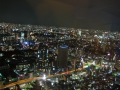IMG_2541.1024x768.JPG