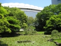 IMG_2575.1024x768.JPG