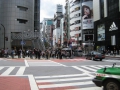IMG_2598.1024x768.JPG