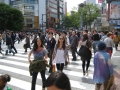 IMG_2606.1024x768.JPG