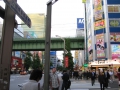 IMG_2613.1024x768.JPG