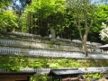 IMG_2672.1024x768.JPG