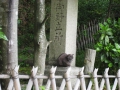 IMG_2704.1024x768.JPG
