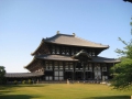 IMG_2931.1024x768.jpg