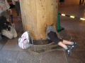 IMG_2951.1024x768.jpg