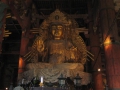 IMG_2957.768x1024.jpg