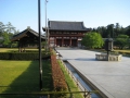 IMG_2960.1024x768.jpg