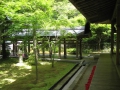 IMG_2996.1024x768.jpg