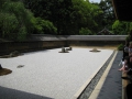 IMG_3002.1024x768.jpg