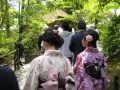 IMG_3022.1024x768.jpg