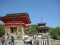 IMG_3033.1024x768.jpg