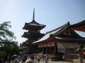 IMG_3039.1024x768.jpg