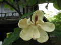IMG_3142.1024x768.jpg