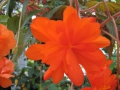 IMG_3189.1024x768.jpg