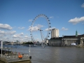 IMG_1376.1024x768.jpg
