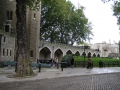 IMG_1474.1024x768.jpg