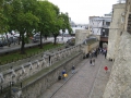 IMG_1493.1024x768.jpg