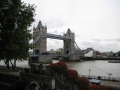 IMG_1502.1024x768.jpg