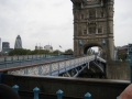 IMG_1552.1024x768.jpg