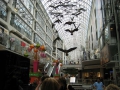 IMG_0328.1024x768.JPG